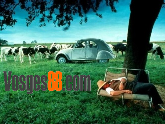 Vosges88